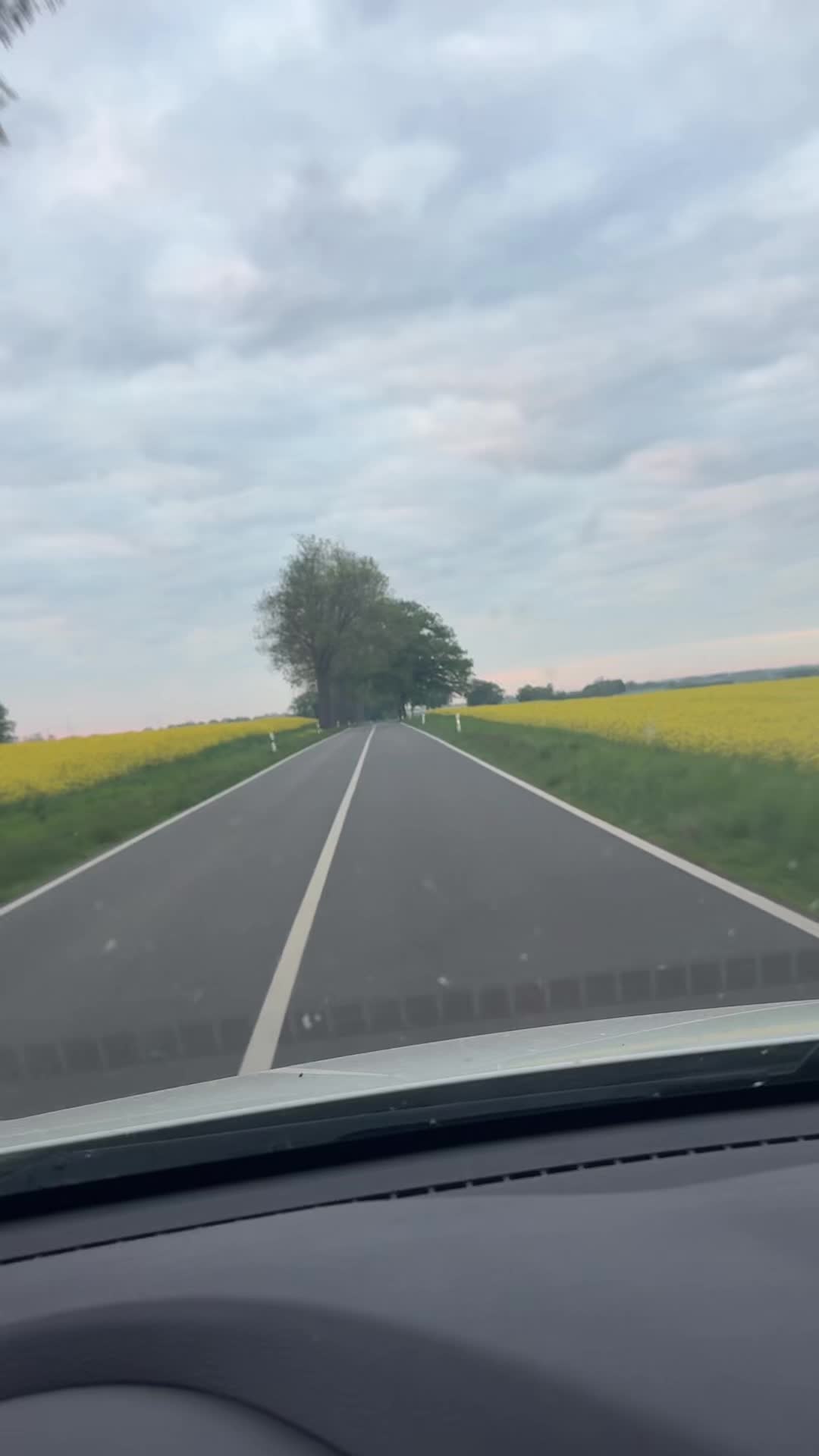 @Emmi