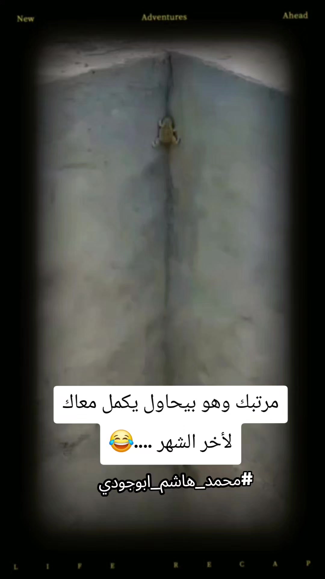 @#محمد_هاشم_ابوجودي