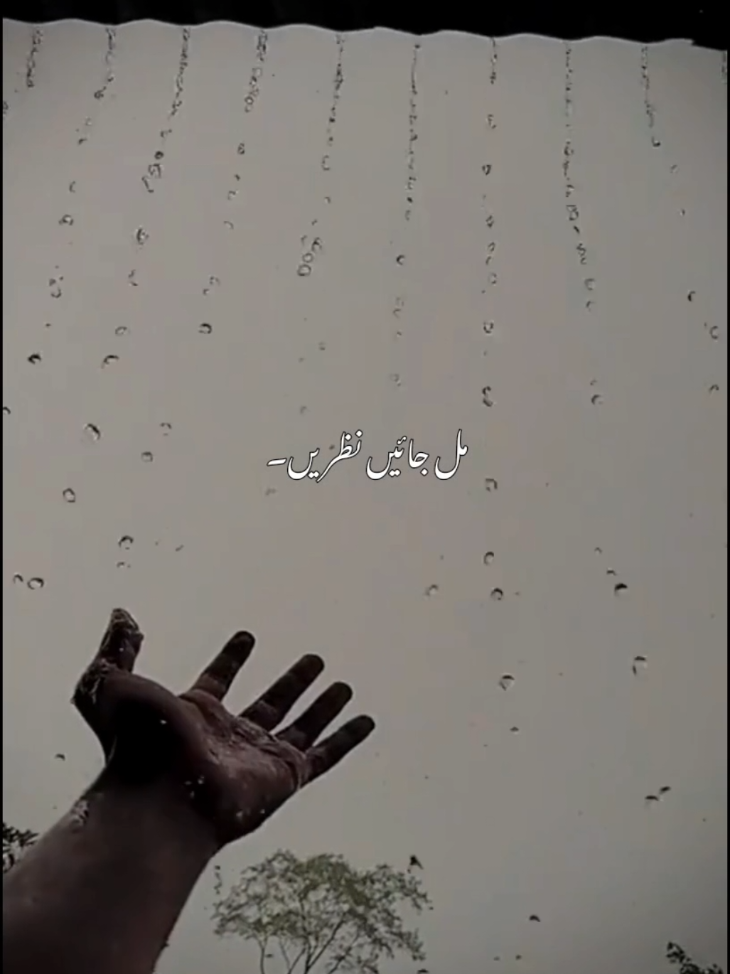 @𝘼𝙐𝙉 𝙓 𝙀𝘿𝙄𝙏𝙕