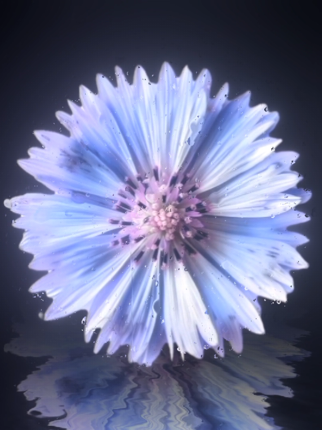@𝐌𝐔𝐒𝐈𝐂 𝐌𝐄𝐃𝐄𝐑𝐎