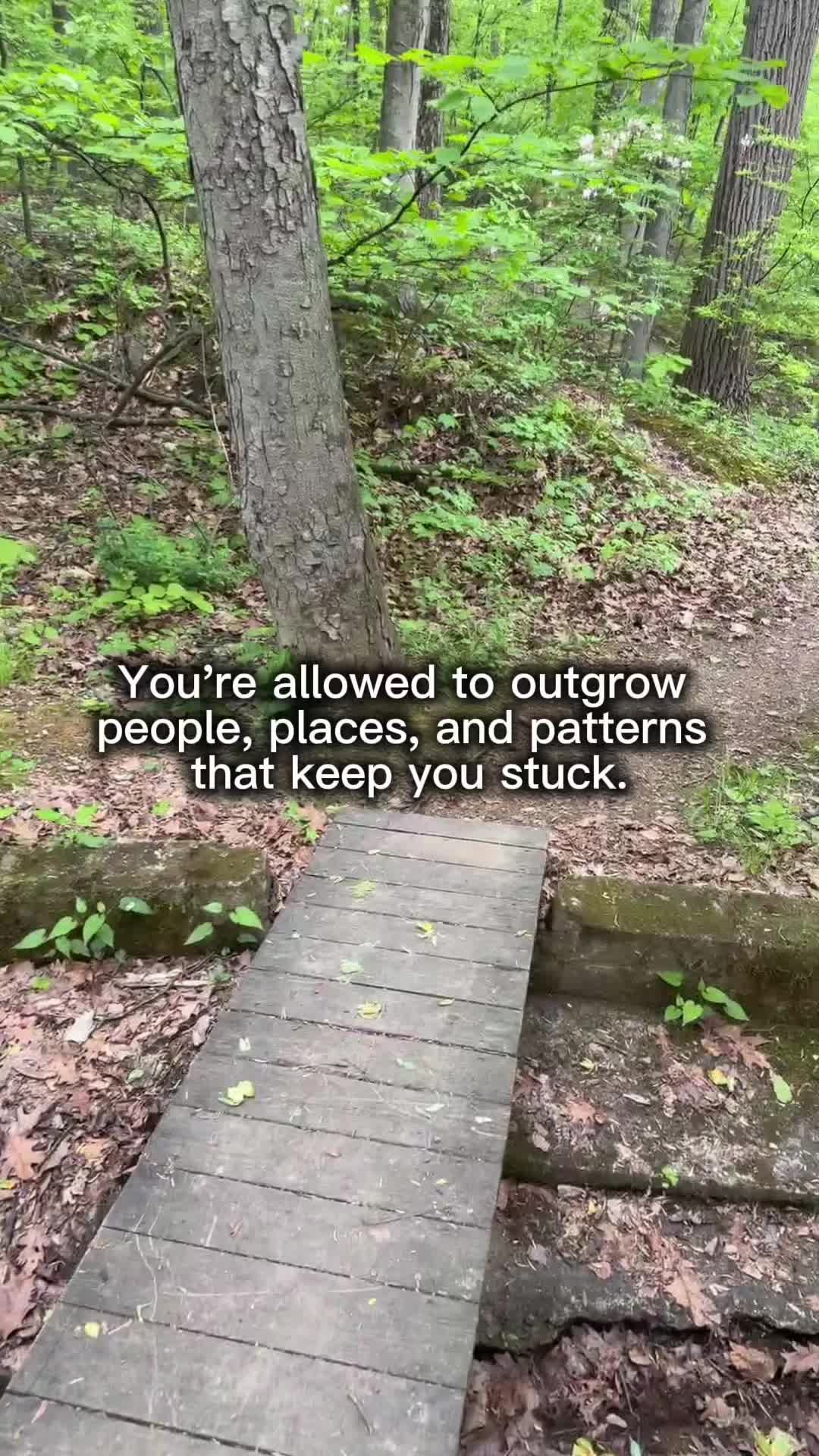 @Lucidity