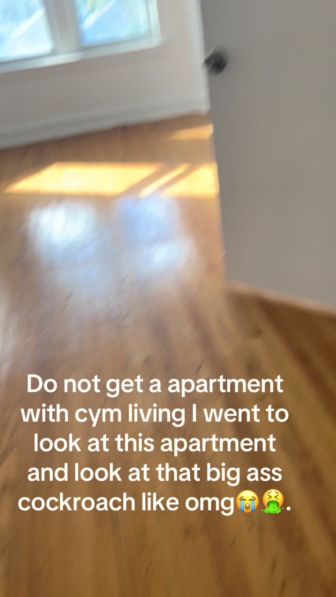 @Alyssa