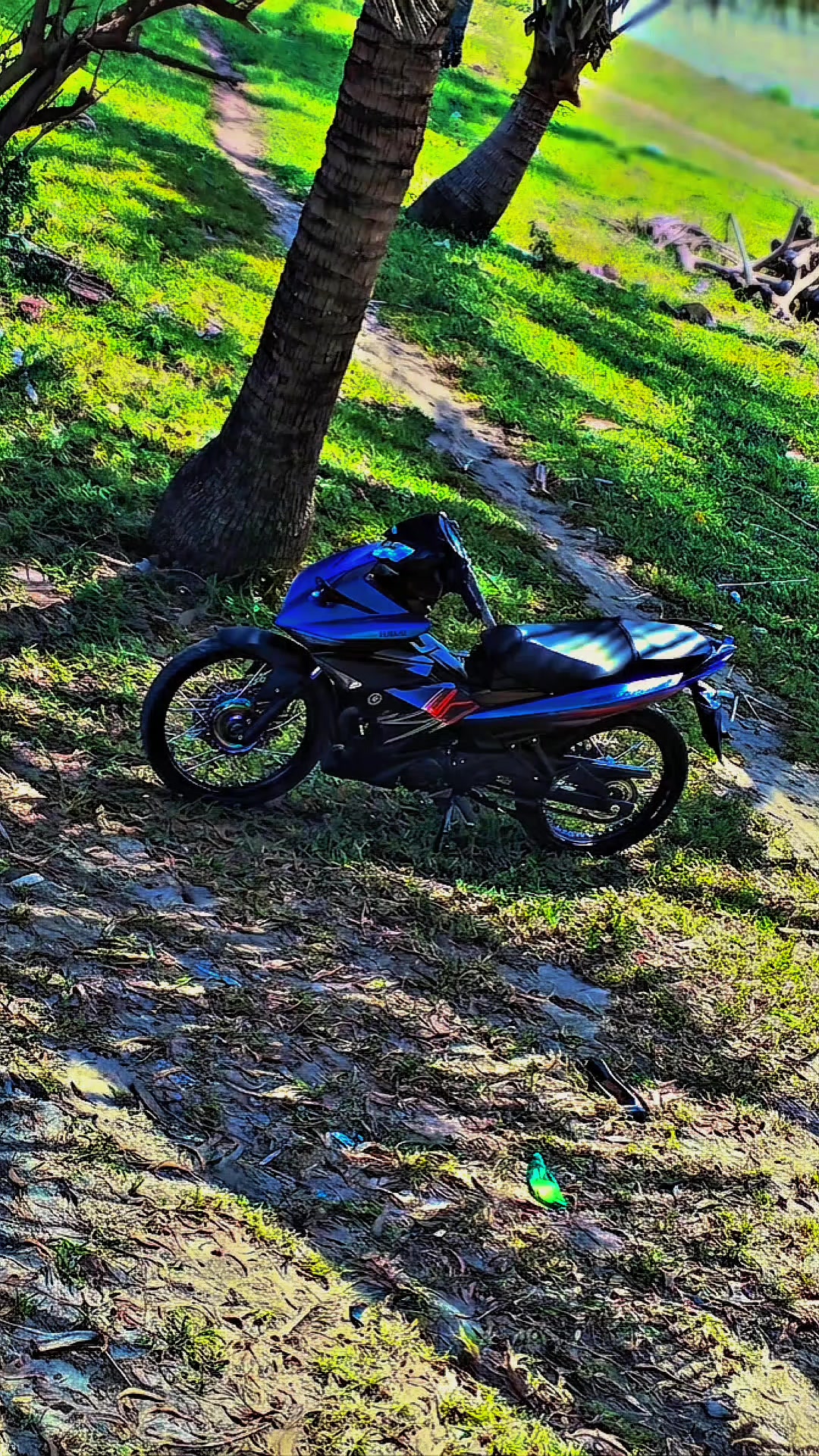 @Mx bocil🚀