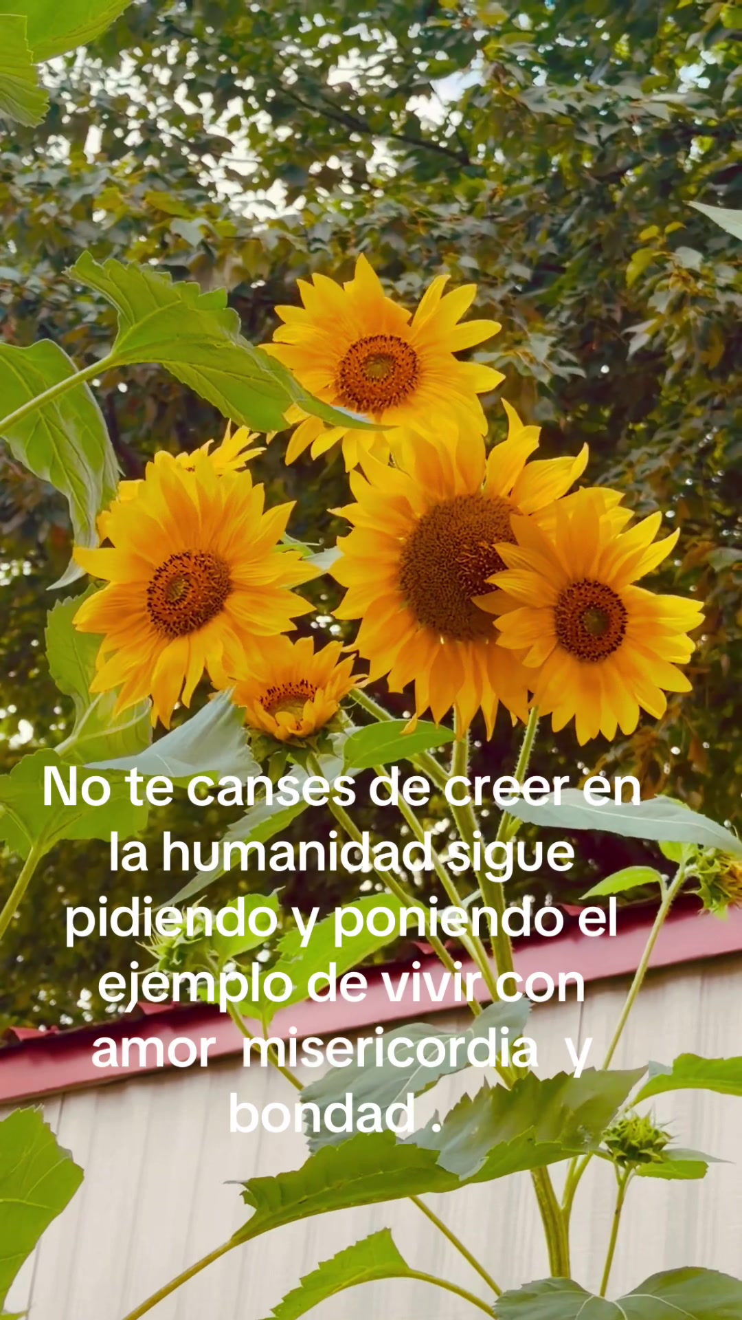 @Lu Jiménez