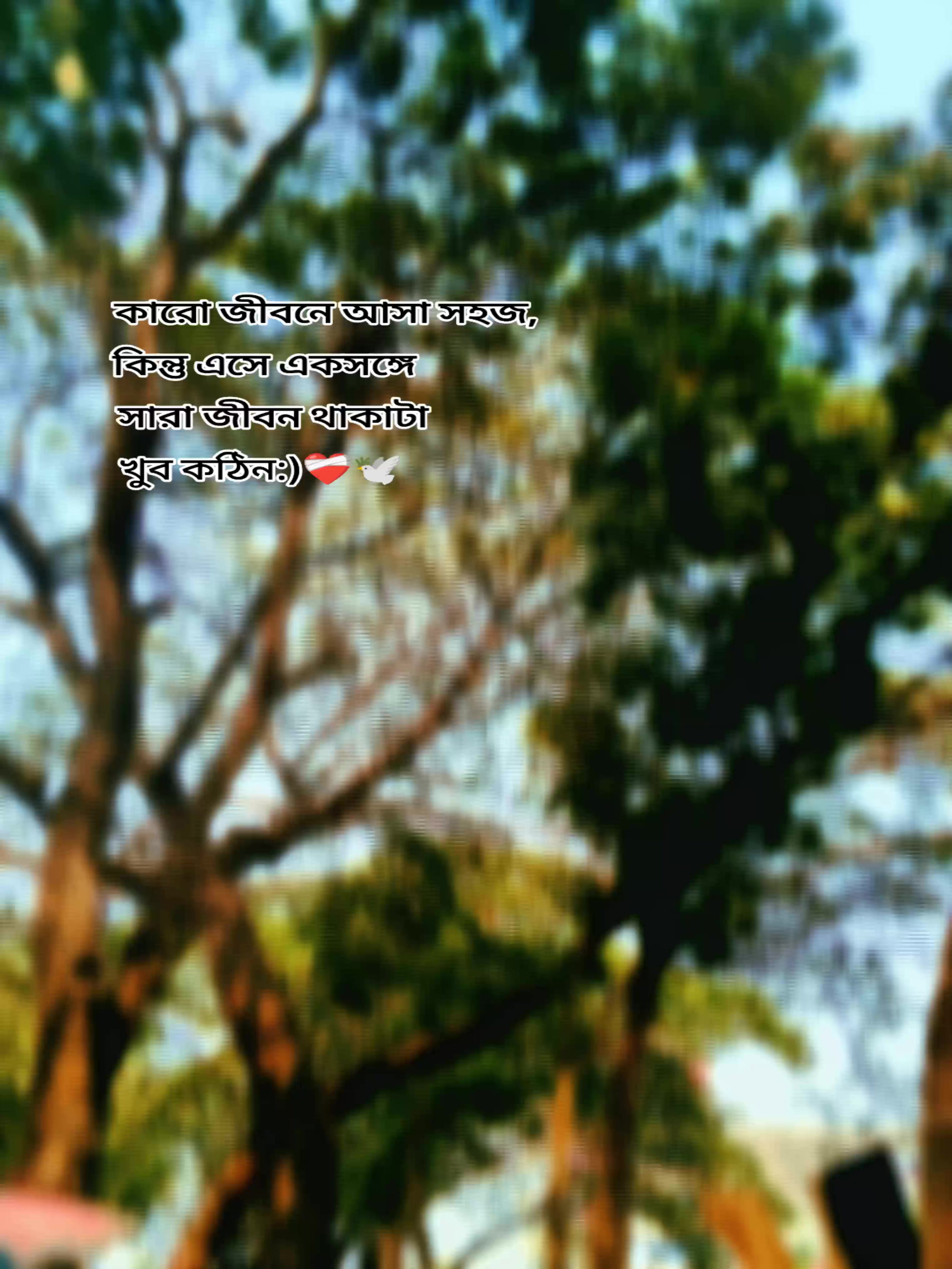 @✨ছোট নবাব 🖤😎
