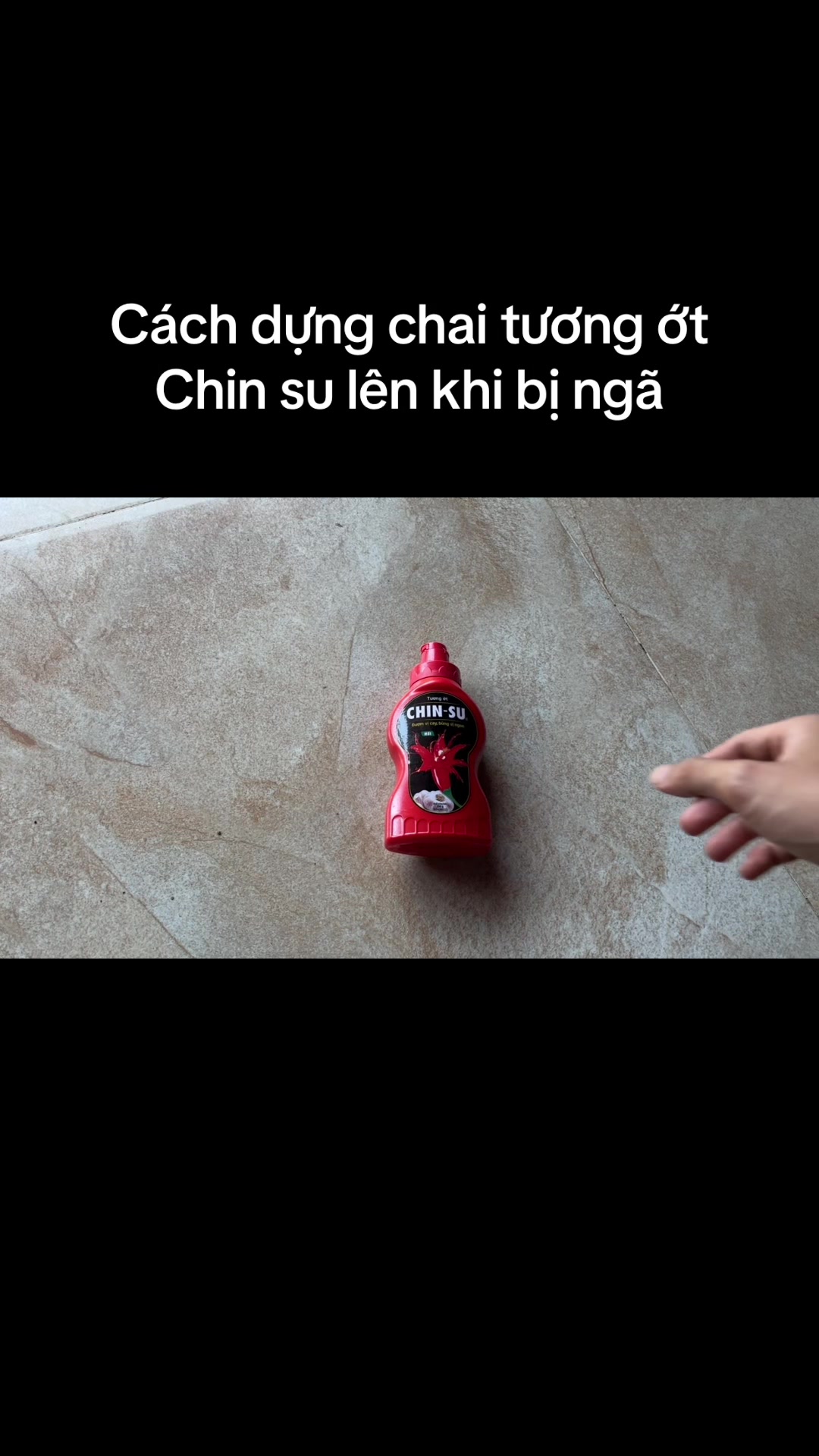 @Mèo thông thái