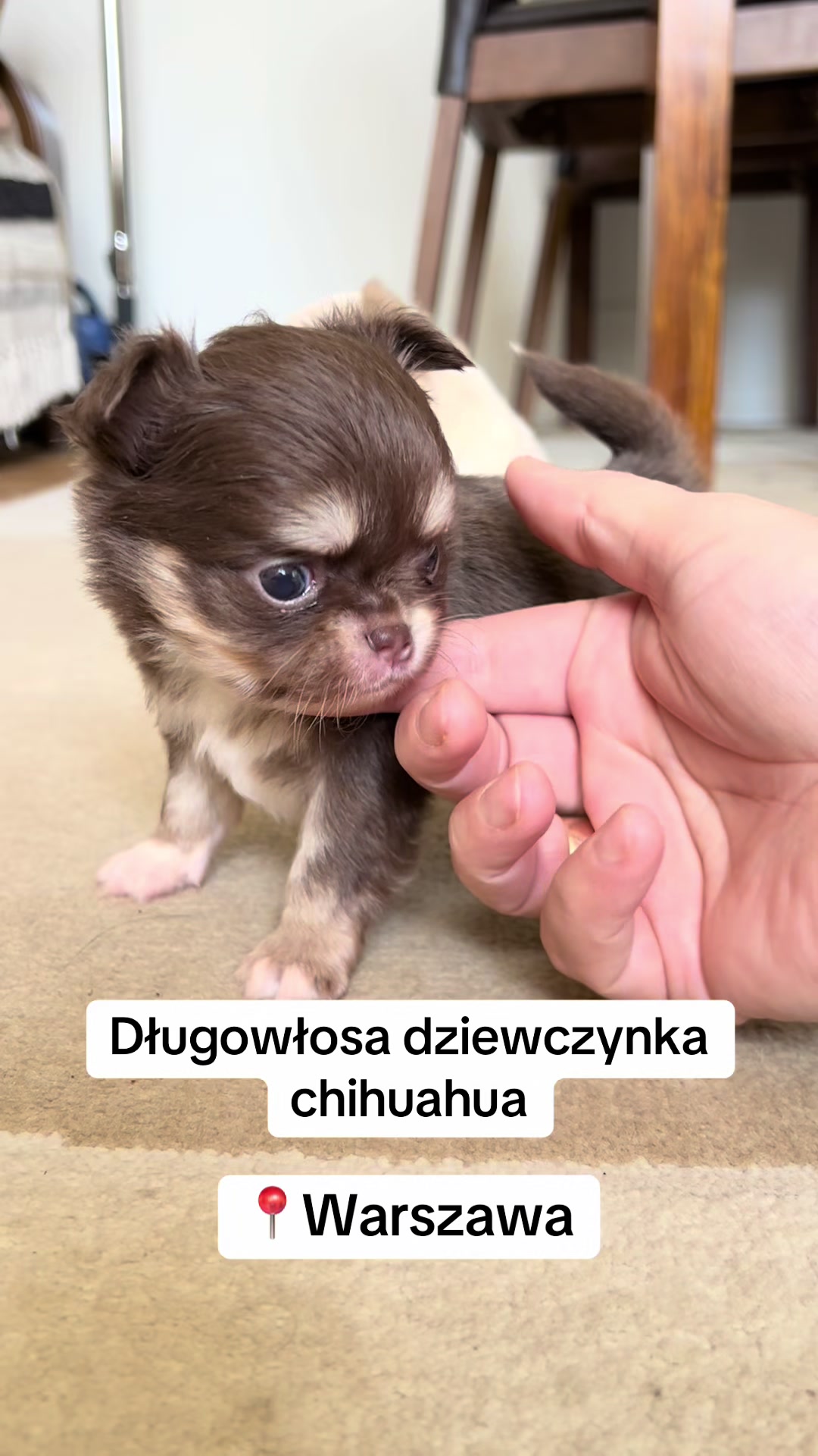 @Ulybki_lilu