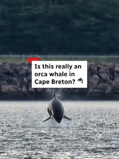 @CBC Nova Scotia