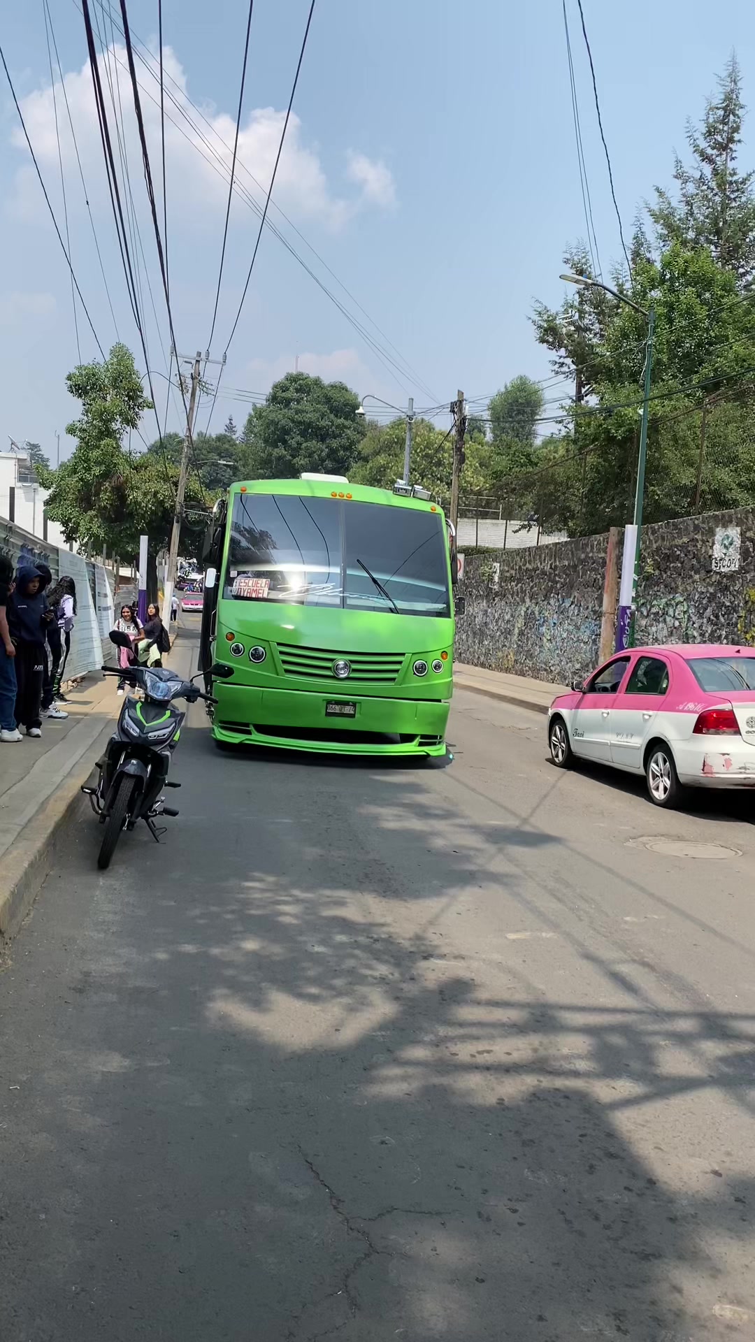 @BUSES ELEGANTES.🔥