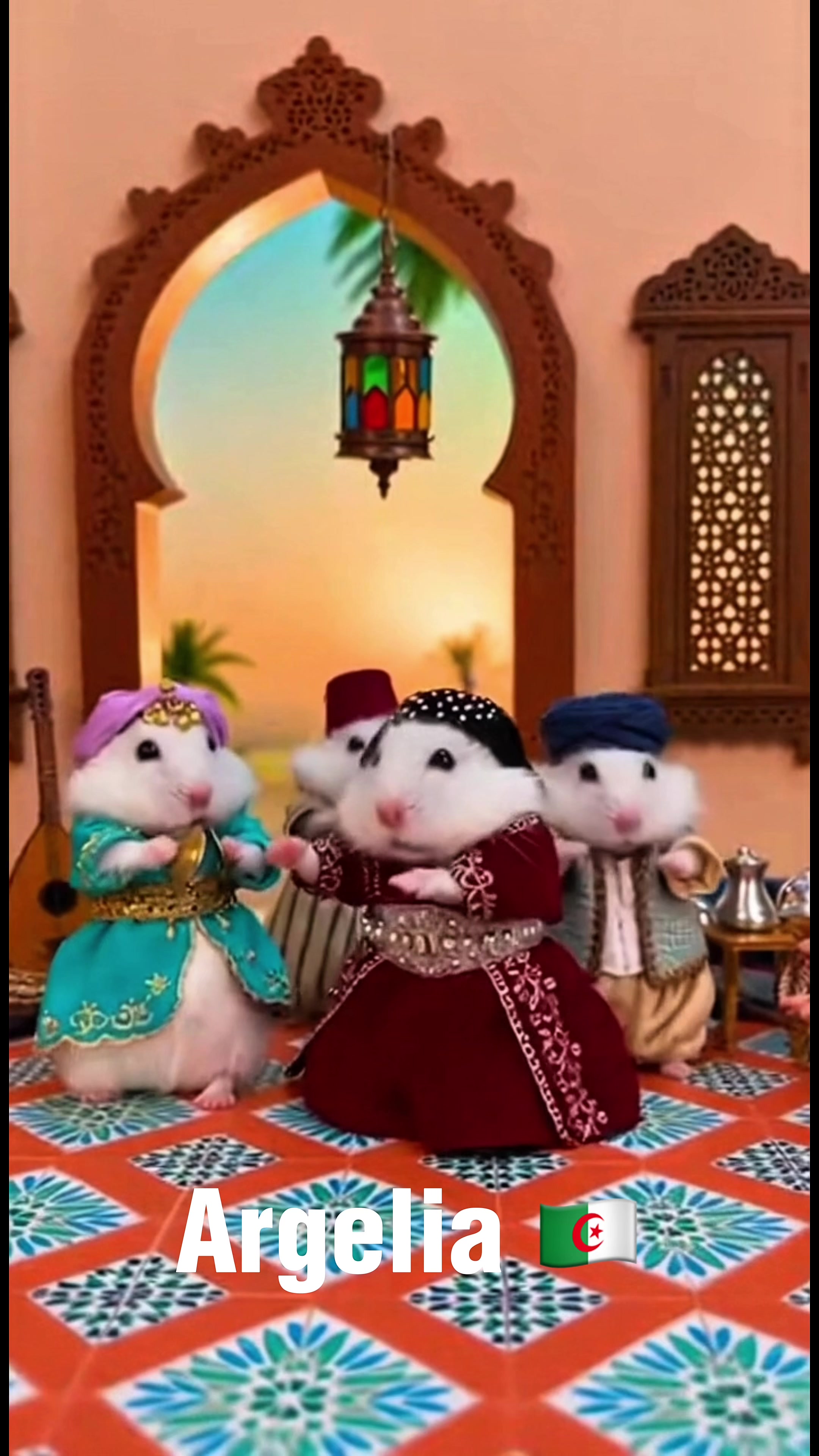 @White Hamster 🏳️⚔️