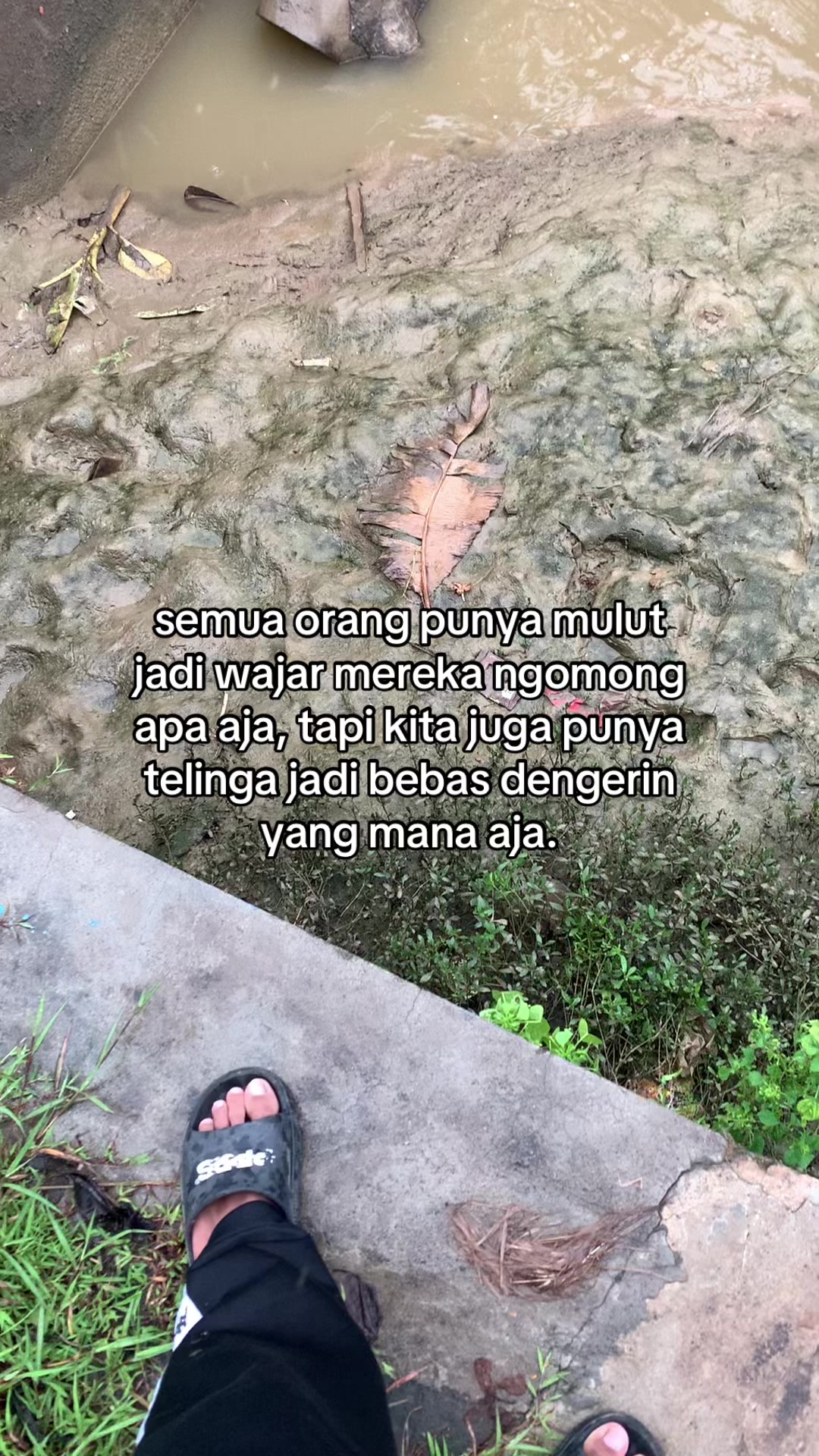 @𝙍𝙚𝙟𝙖𝙖