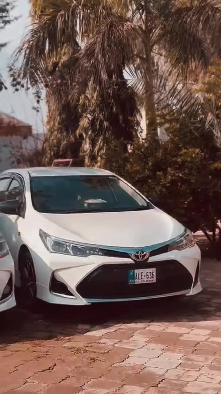 @ibrahim