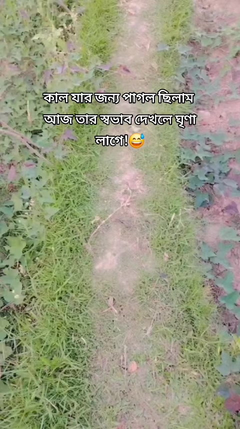 @Sanzida Nahar