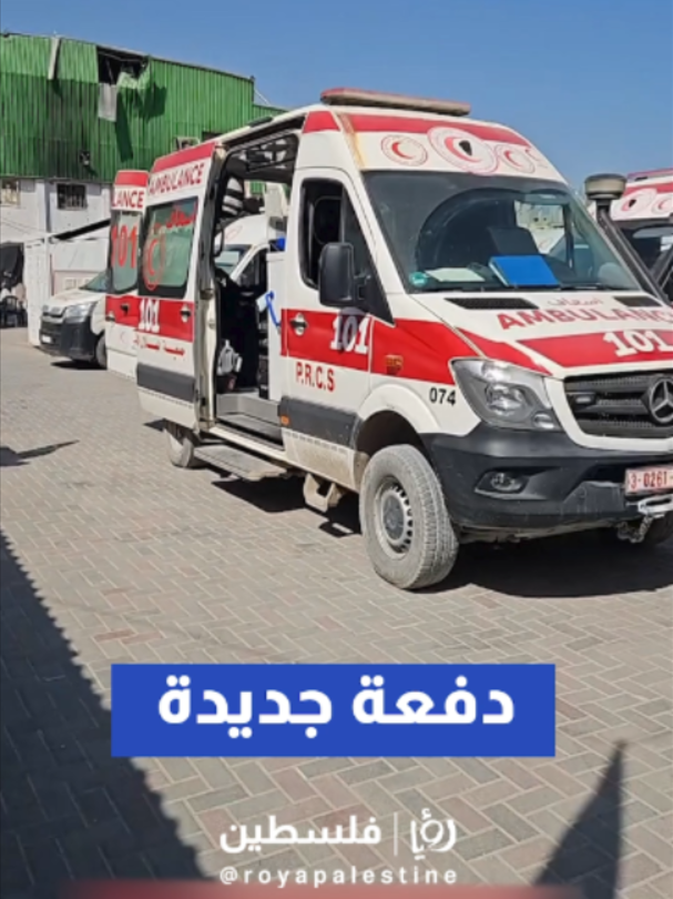@Royapalestine رؤيا فلسطين