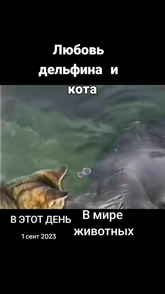 @doyd0we