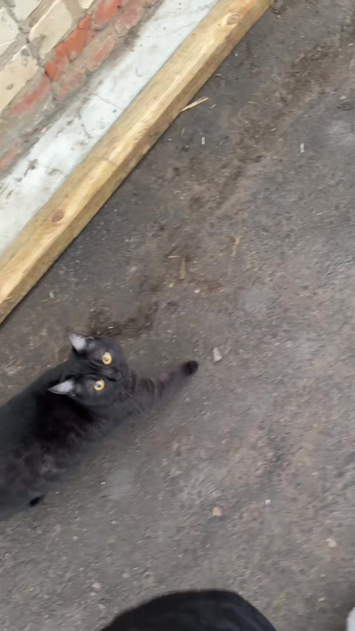 @Счастливые моменты