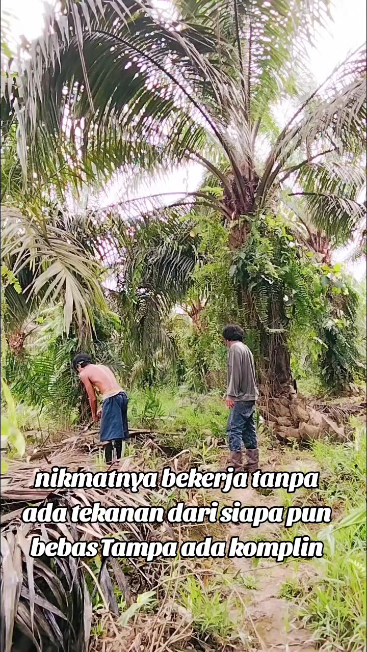 @rafkha461