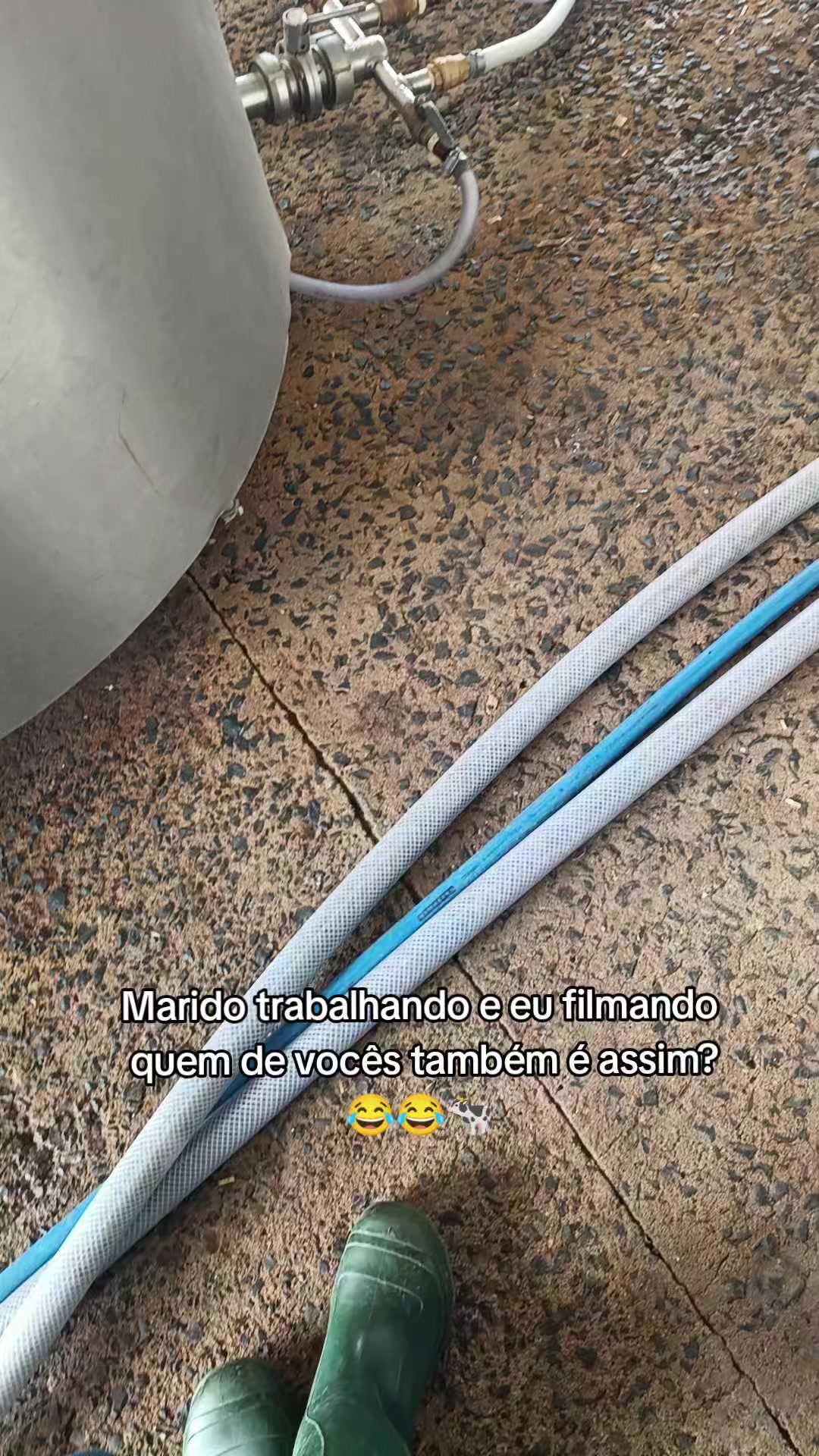 @Vivianne_Gomes_Oficial🌵🦋