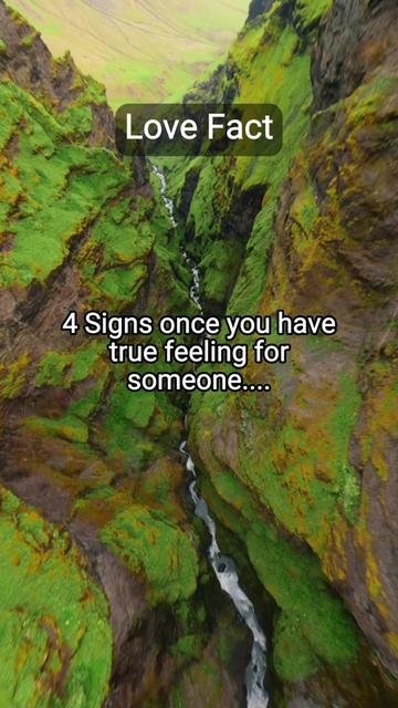@DailyFactsKNS