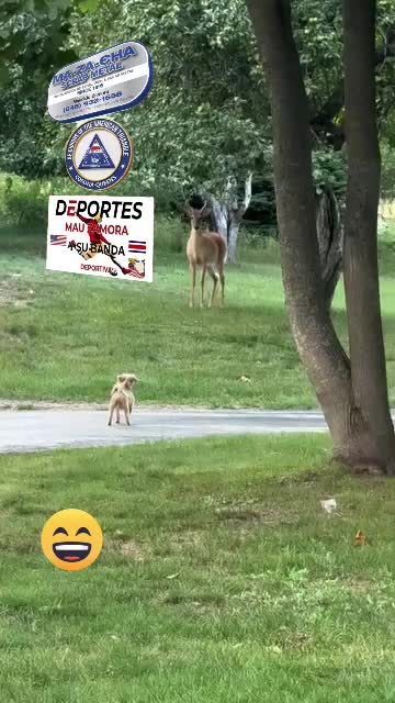 @MAU ZAMORA