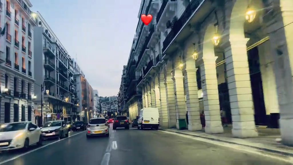 @LouEy 24 🕊🩶