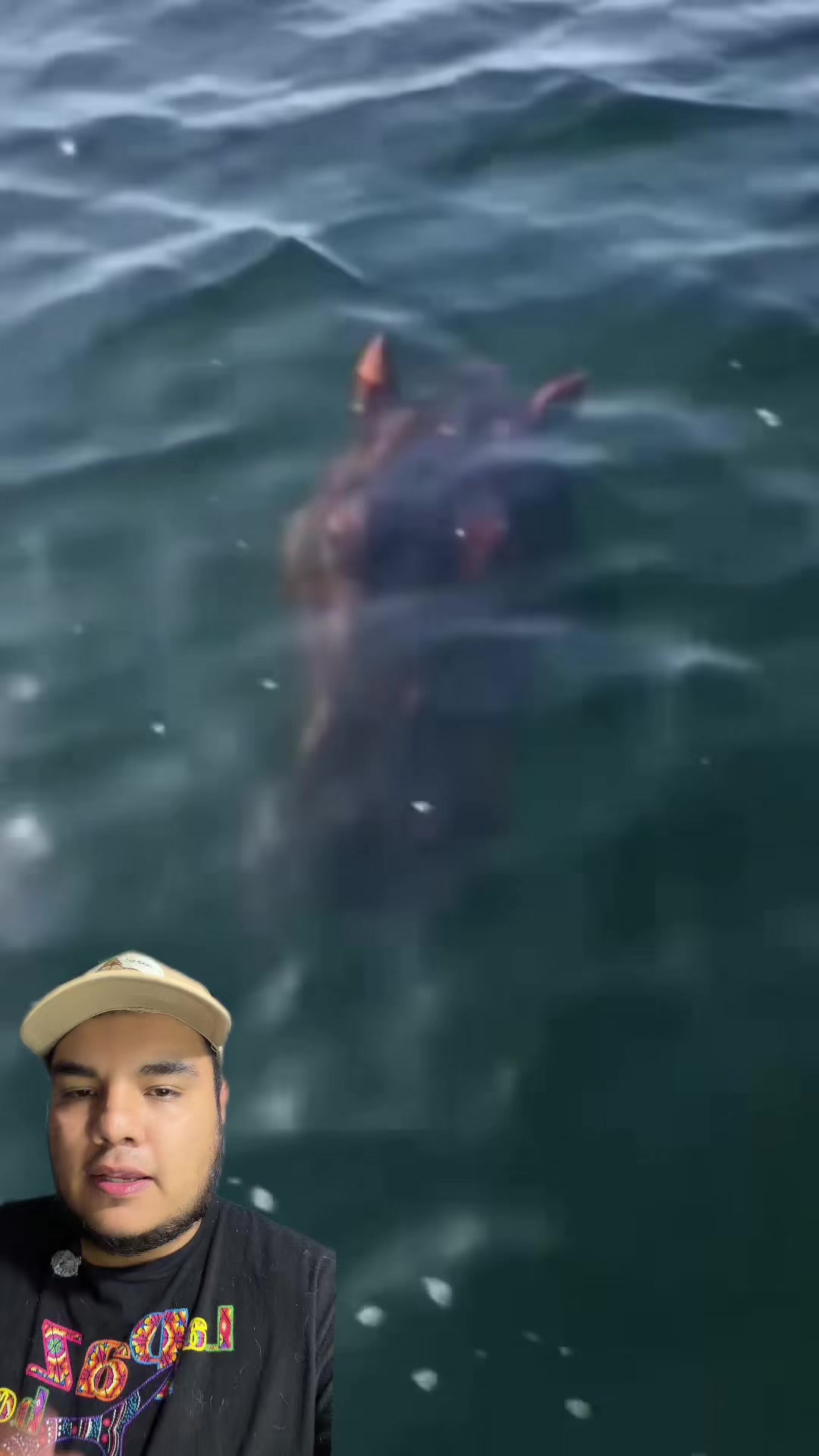 @Jair Herrera 🐆