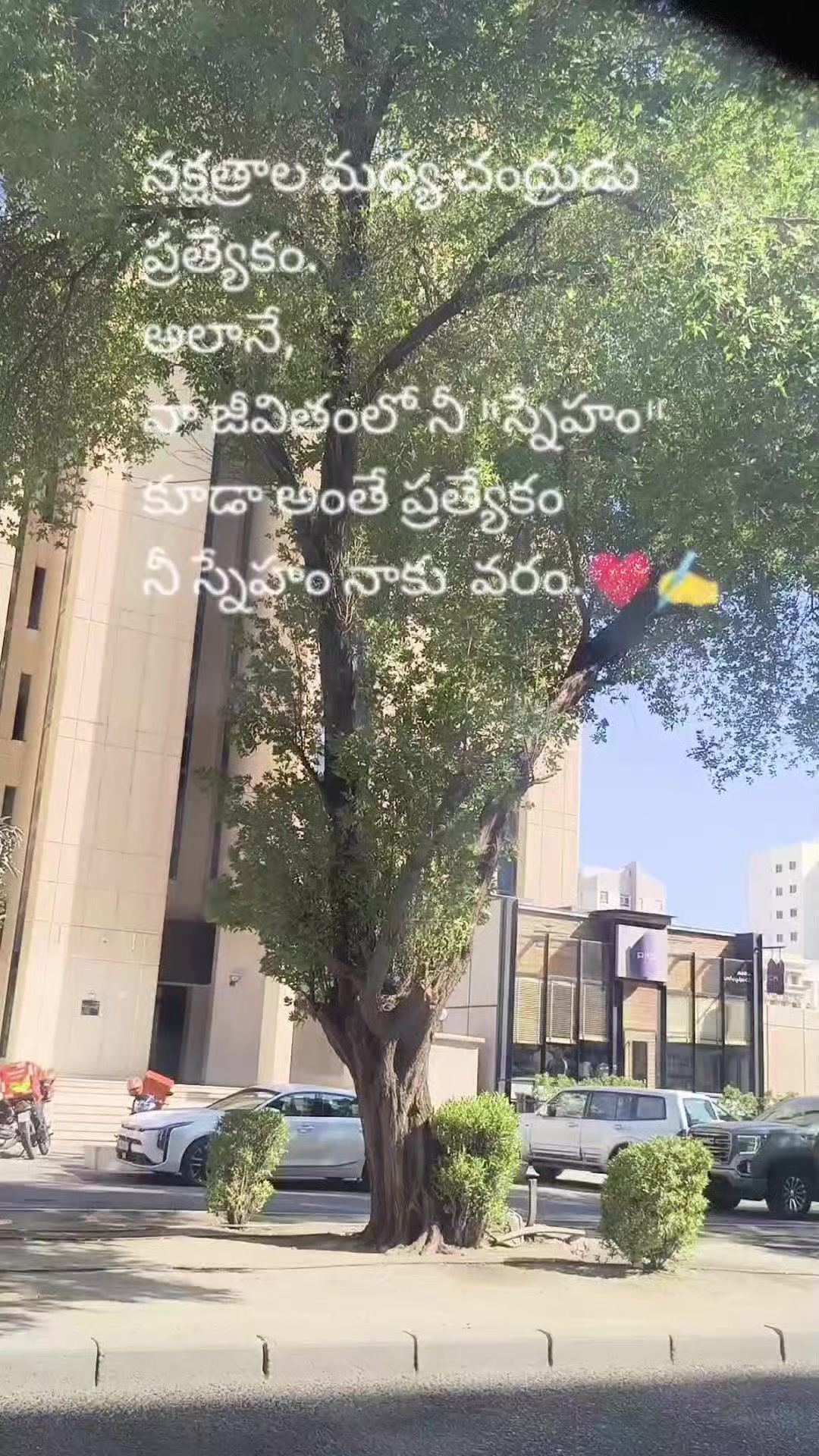 @❤️💜 Shaik_rakheeb_84🫶💞