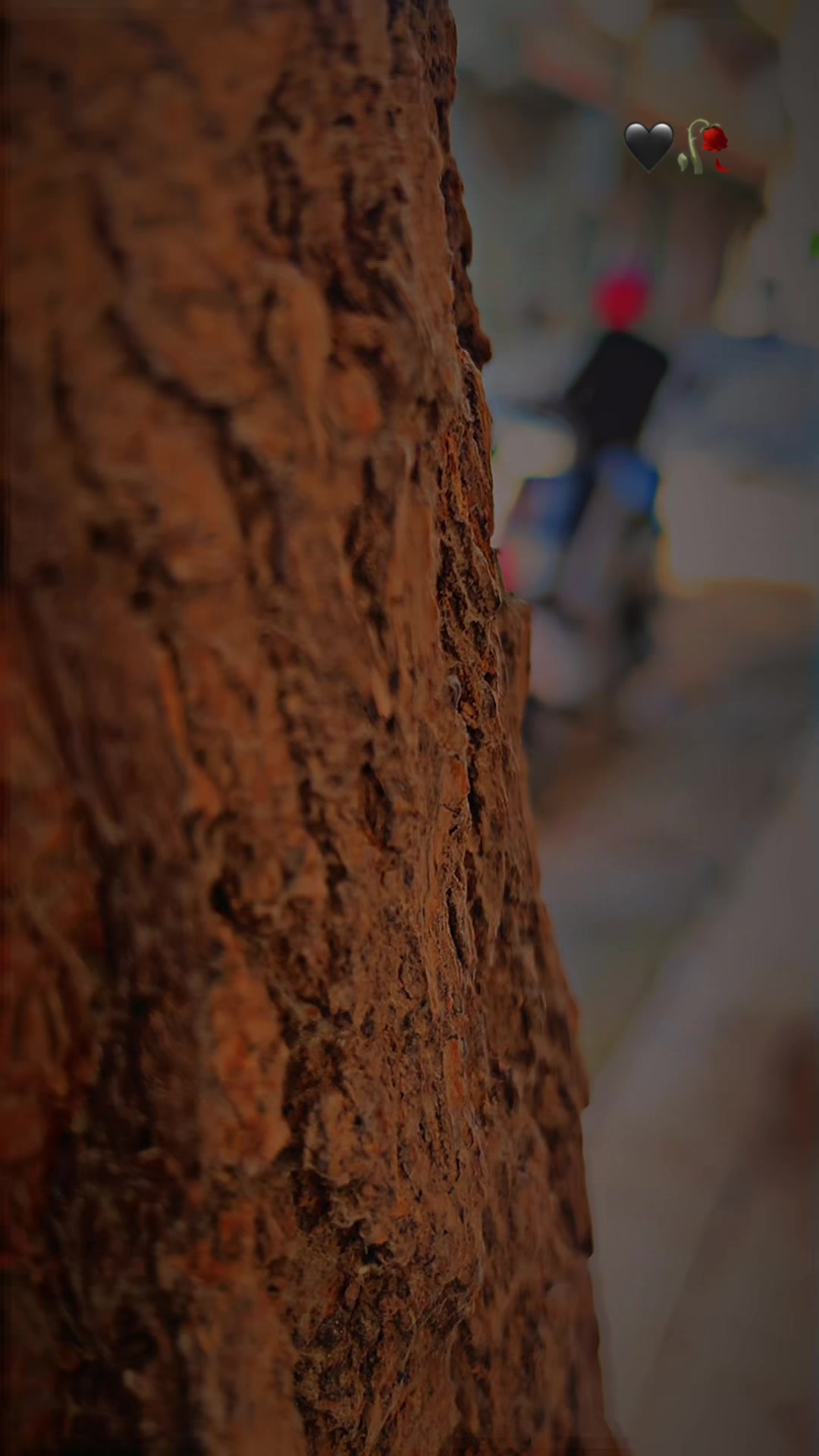 @Leuux_fouad