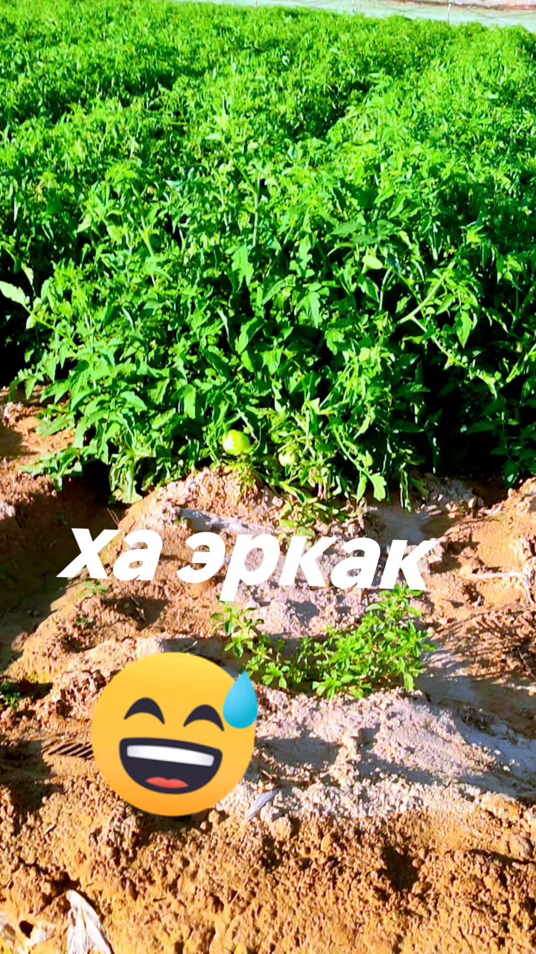 @♦๏ธโฌ ๐บ๐
๐ด๐น โฌ♦๏ธโโ๐เฟเฟเฟเฟ๐ฆ๐ฅ.