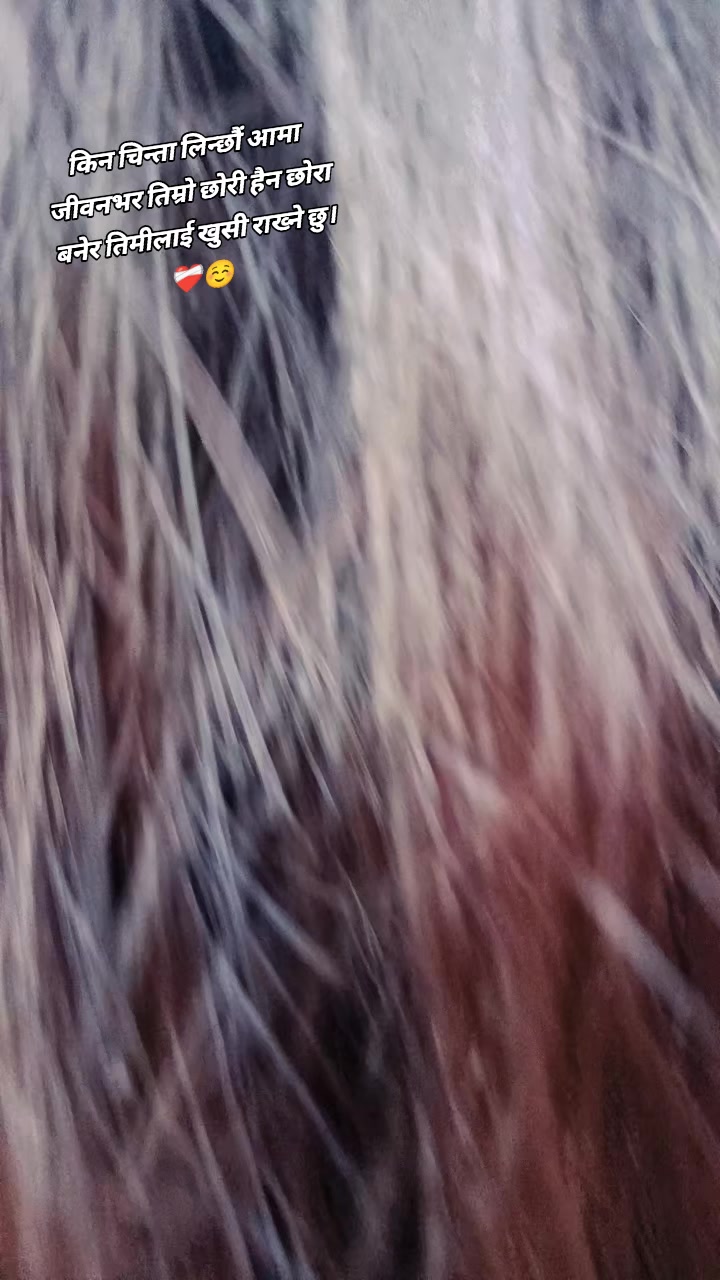 @ギタ🇯🇵🇯🇵