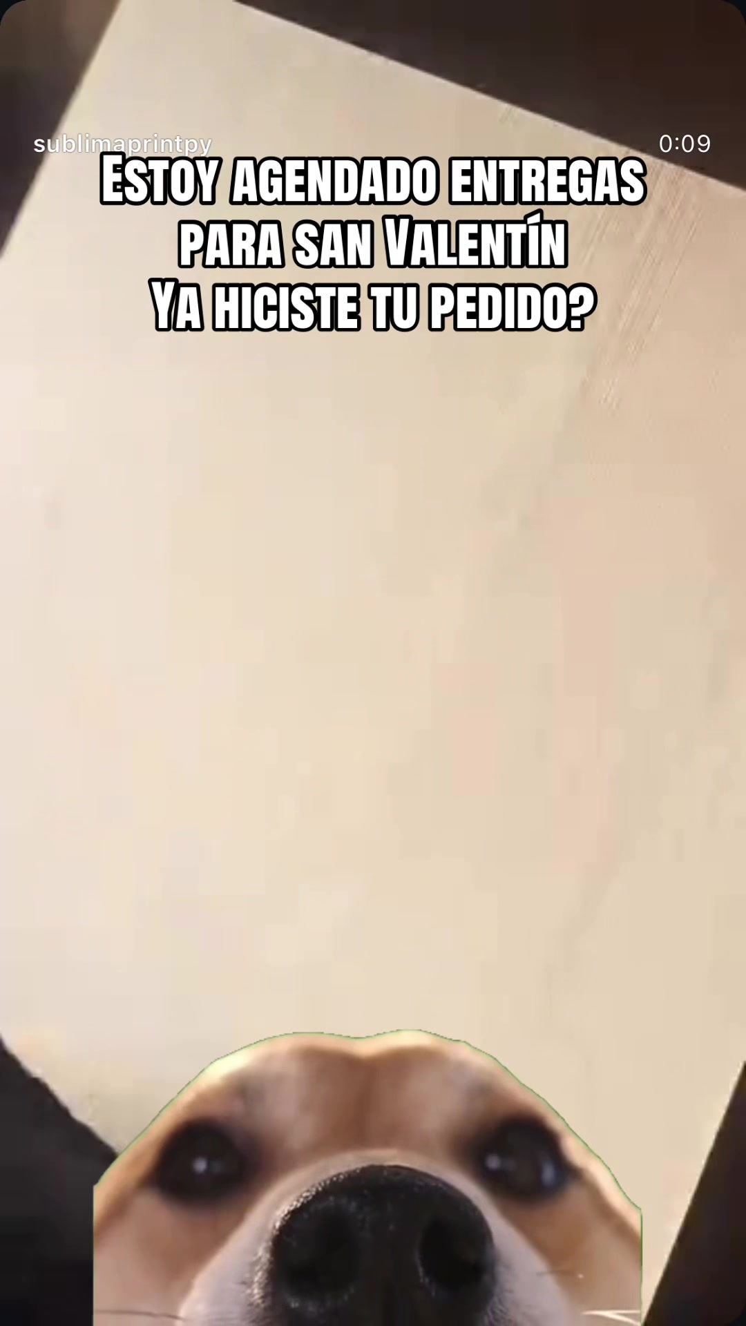 @SublimaPrintpy