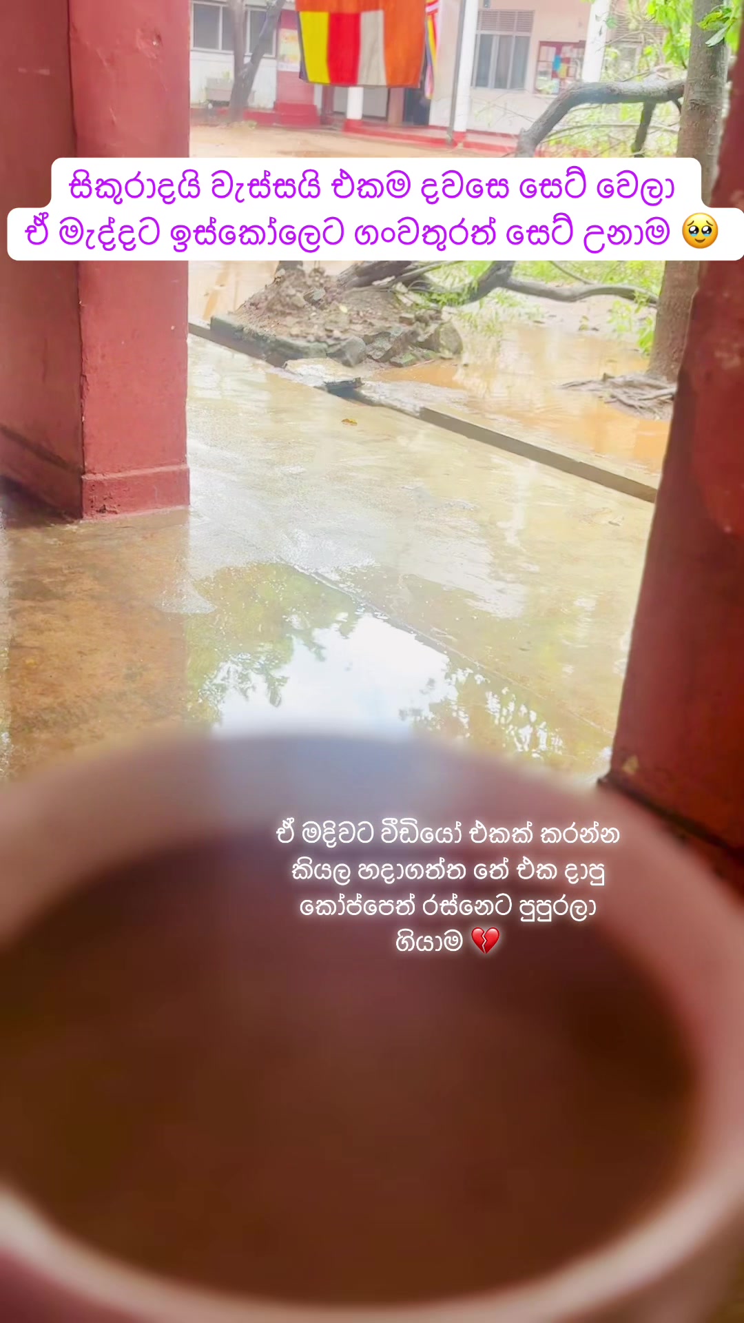 @ඉෂානි 🌸