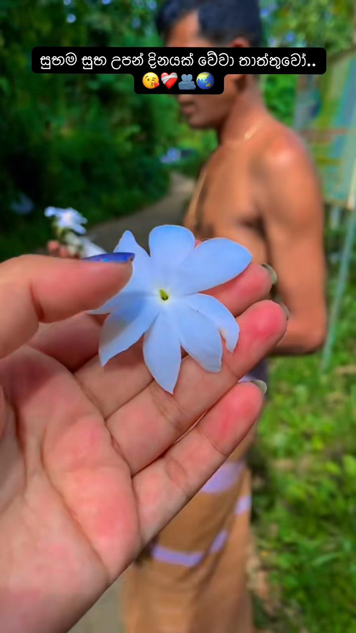 @🪄👸 sasini hansamali 🧚&zwj;♀🌹✨