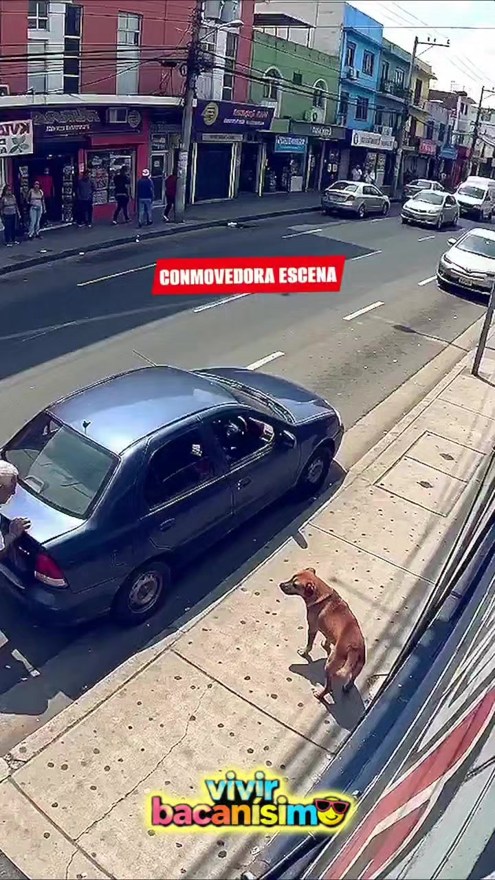 @Bacanisimo😎