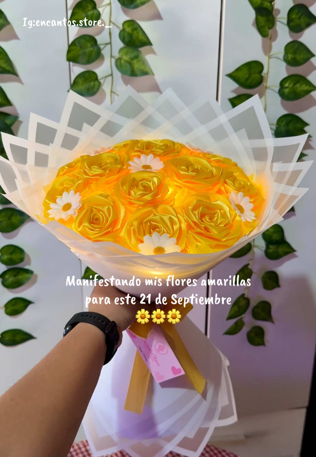 @Encantos Store🌷