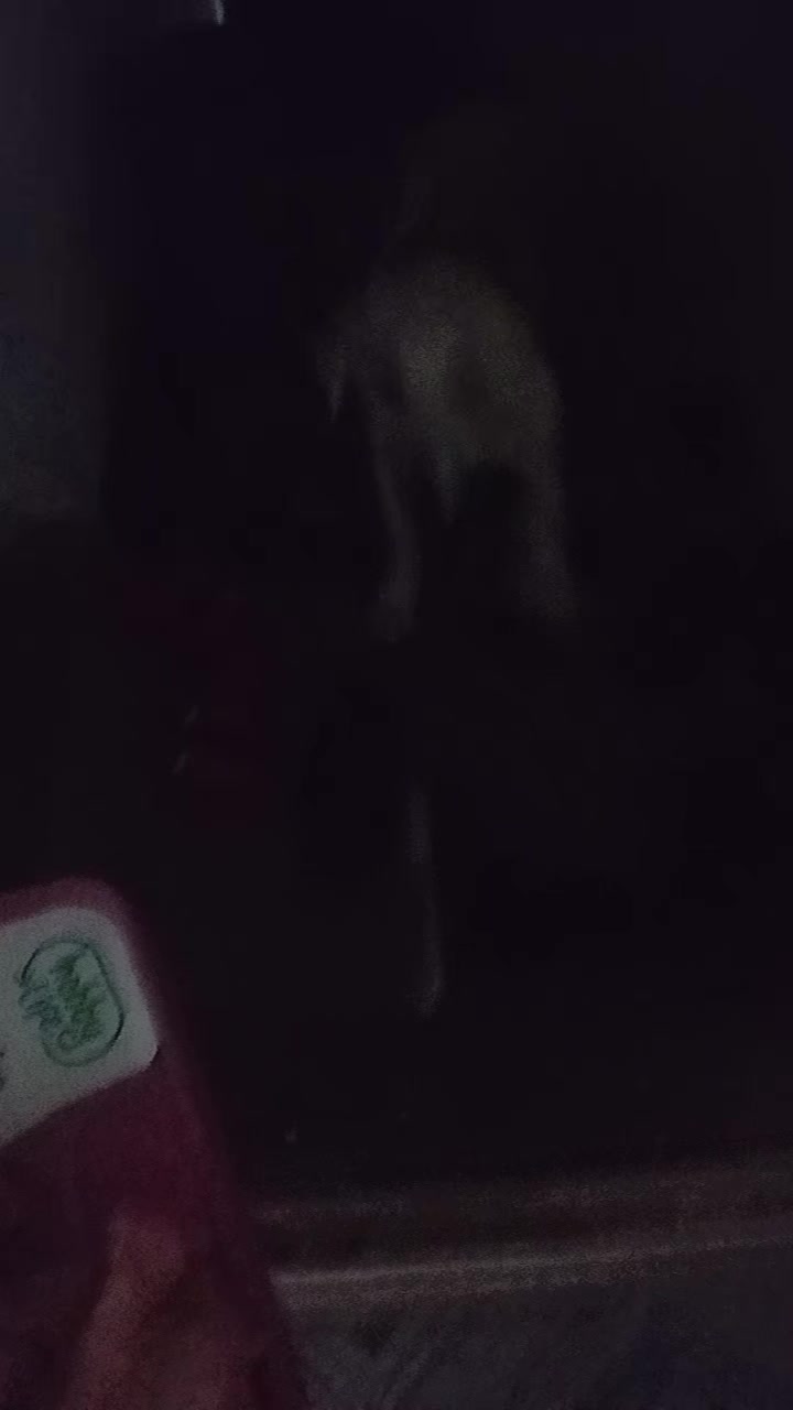 @çılgın kadın Ümmüü