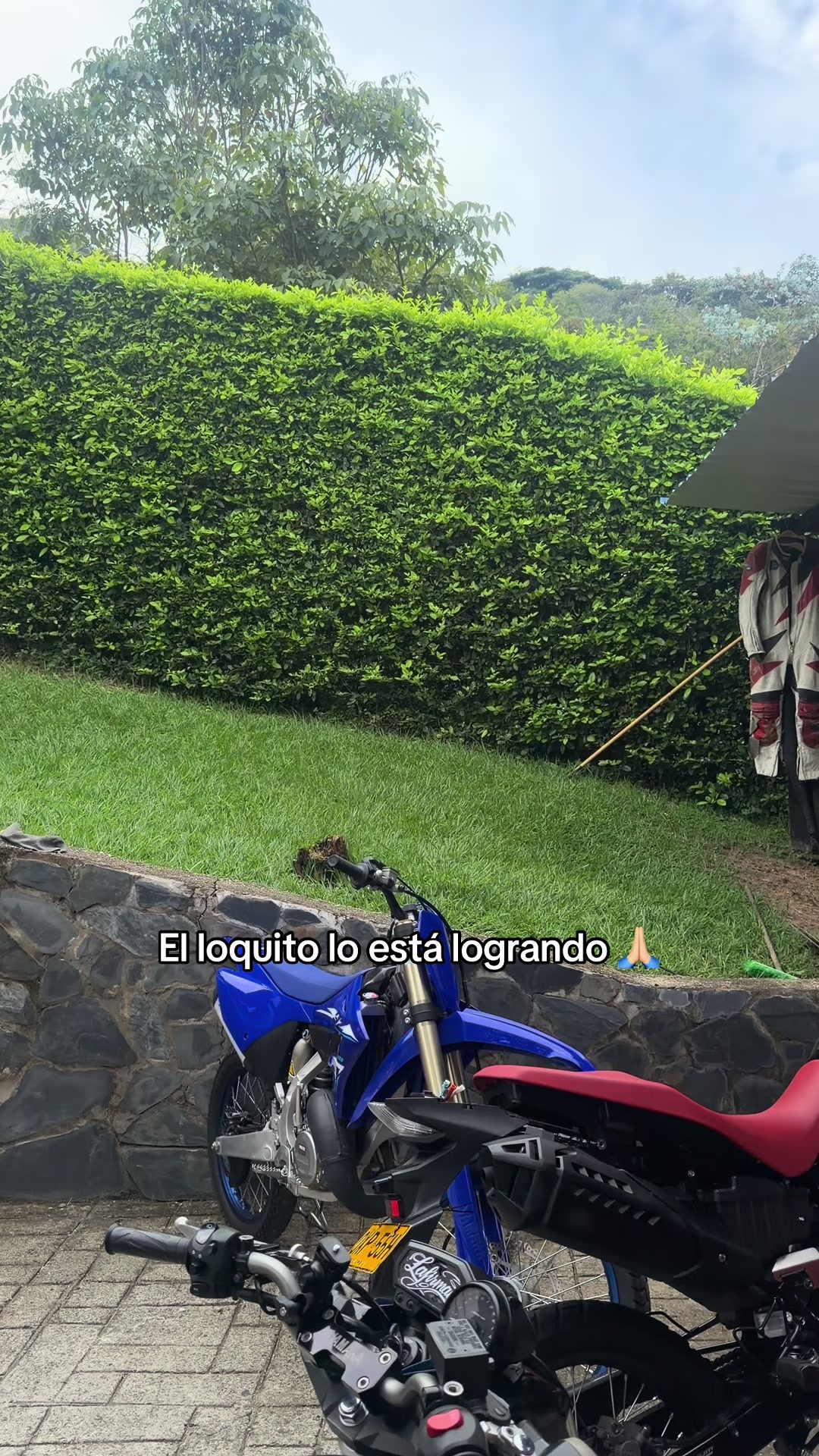 @Jhoan997 ⚡️