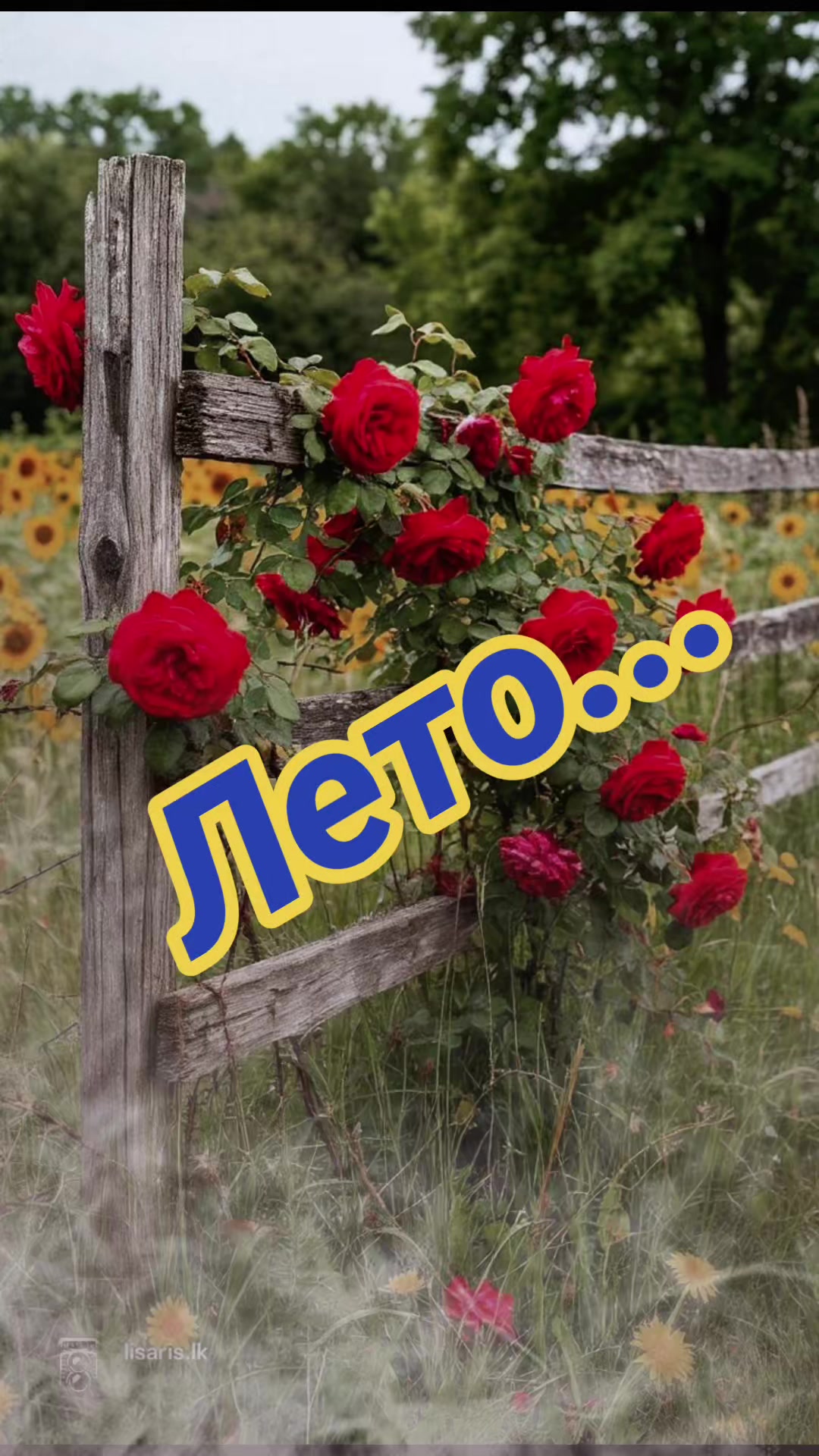 @Роза