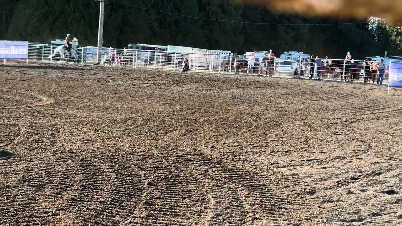 @TF Performance Horses