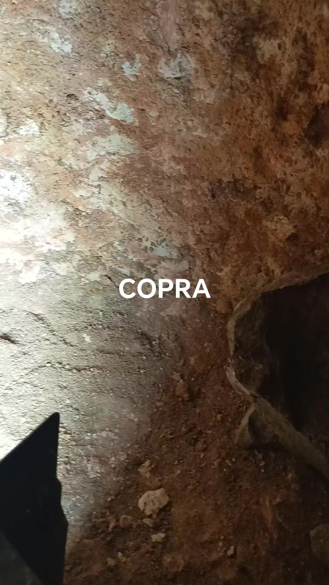@Cobra Baneunis