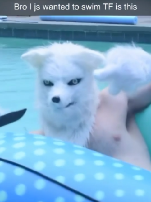 @AzFk👁️
