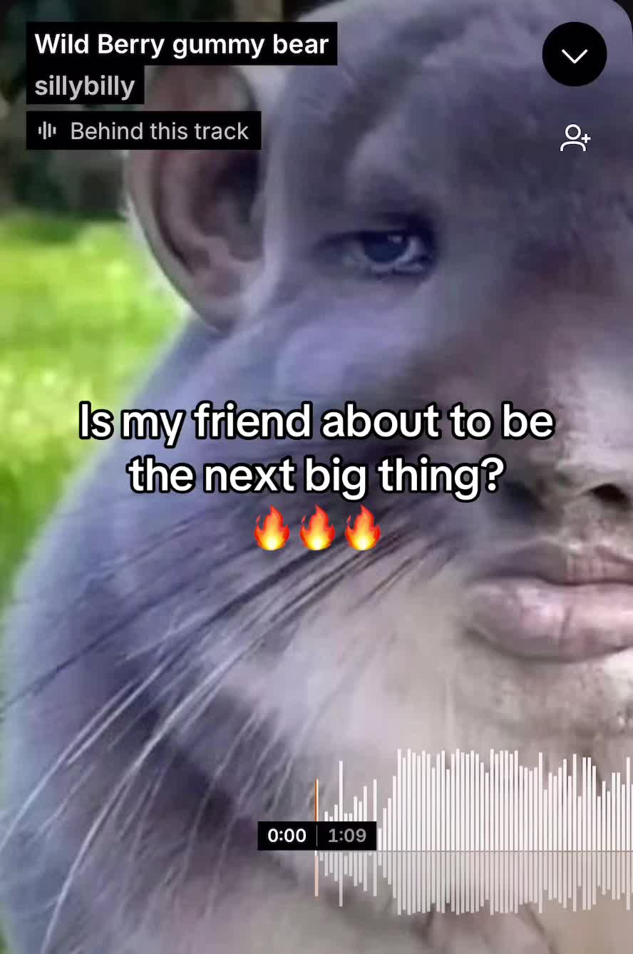 @stupididiot213