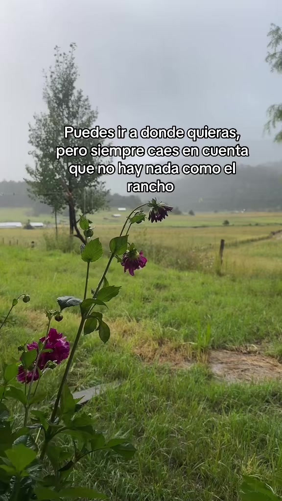 @Arelí 👑🌳🪵🧩