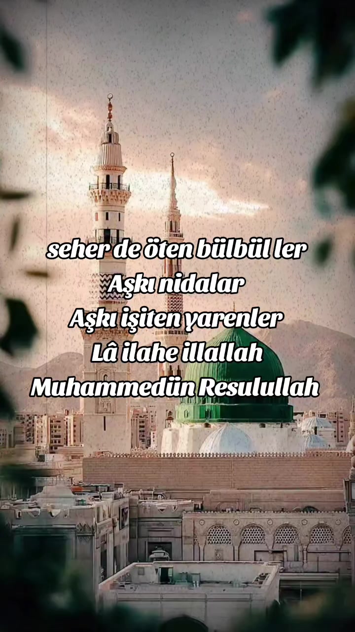 @Gelemsana