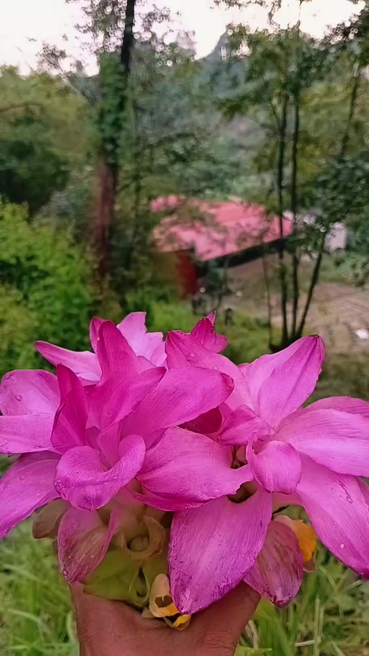 @𝓗𝓲𝓻𝓪_𝓑𝓲𝓫𝓮𝓼𝓱🌙❣️🔐