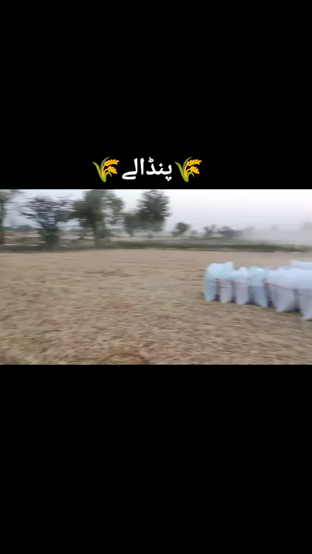 @iJaZ GuRu