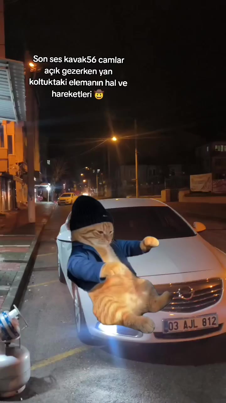 @Ali Usludil