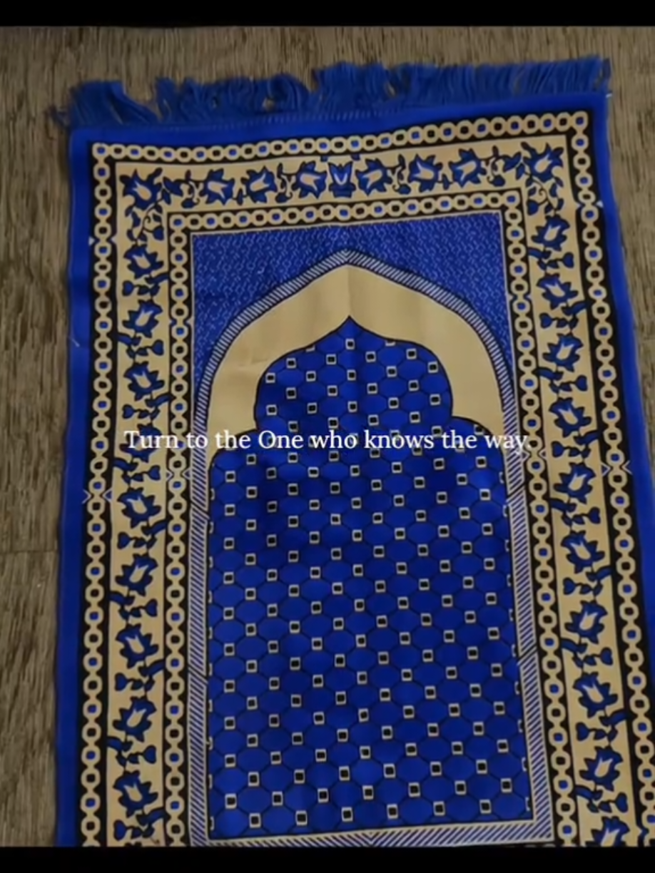 @Halal Mohsin