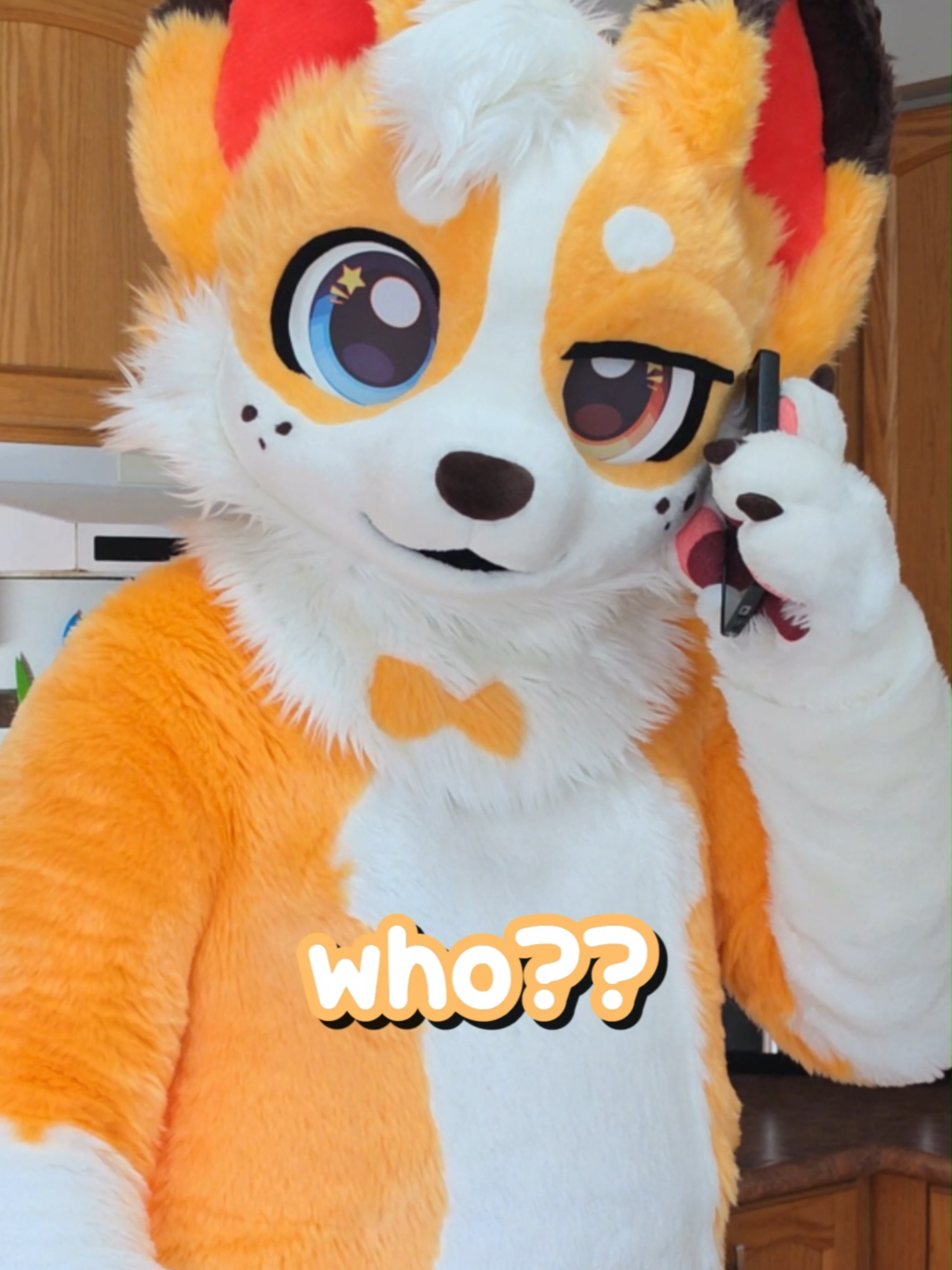 @Corgi