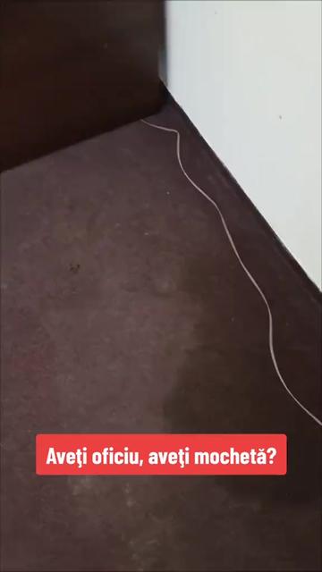 @SpaDivan.md